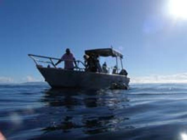 Dolphin Bay Divers Retreat Hotel Vatolotolo Esterno foto
